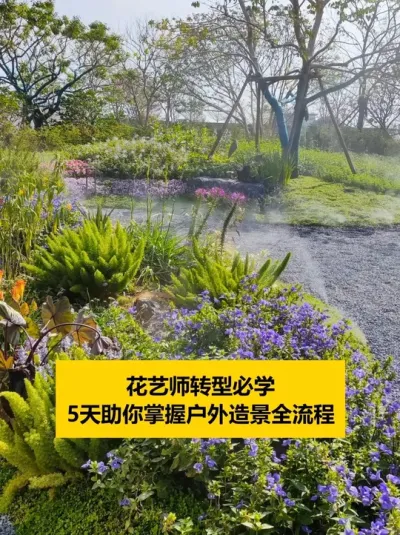 别再被甲方打回稿了！ 别再被甲方打回稿了！我当初用网红植物瞎堆，方案被毙7次，多亏学了这门课。5天魔鬼训练：空间统治术--专治构图散乱，无焦点；动态平衡配方--拒绝花期错位，变秃地；溢价30%秘诀--