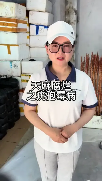 天麻腐烂系列之疣孢霉病 #农业技术推广 #抖音助农 #新农人计划 @抖音小助手