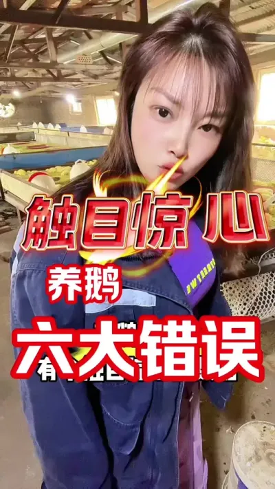#养鹅人 #养鹅技术分享