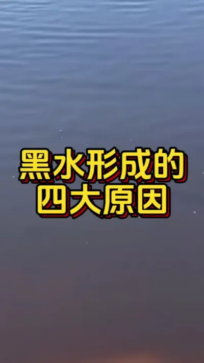 黑水形成的四大原因#小棚养虾 #养虾人 #南美白对虾 #嘉骏新水产 #水产人