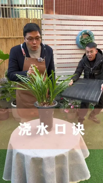 这条口诀记得住，养花浇水没难度#花卉绿植 #养花小知识 #爱生活爱养花 #分享养花经验