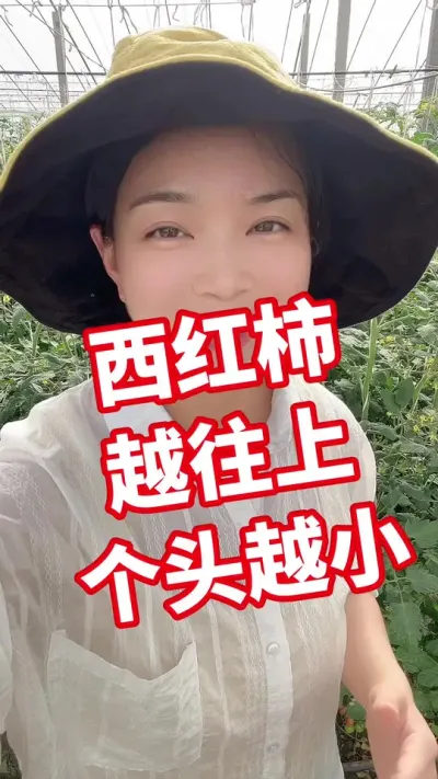#记录我的种植生活 #西红柿种植  点个关注 互相学习 @抖音小助手
