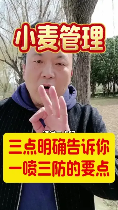 一喷三防的三个要点。#小麦种植 #一喷三防