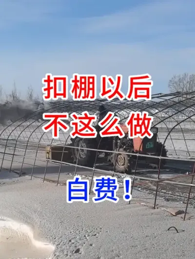 扣棚以后不这么做,白废！ #寒地水稻种植  #农业种植技术  #现代农业技术  #大棚