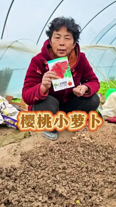 樱桃小萝卜你喜欢吃吗？#三农 #樱桃小萝卜新鲜 #樱桃小萝卜怎么种植 #蔬菜杨大姐 #樱桃小萝卜 @DOU+小助手 @DOU+上热门 @抖音创作小助手