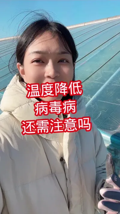 #西红柿种植#番茄种植 关注我 相互学习@抖音小助手