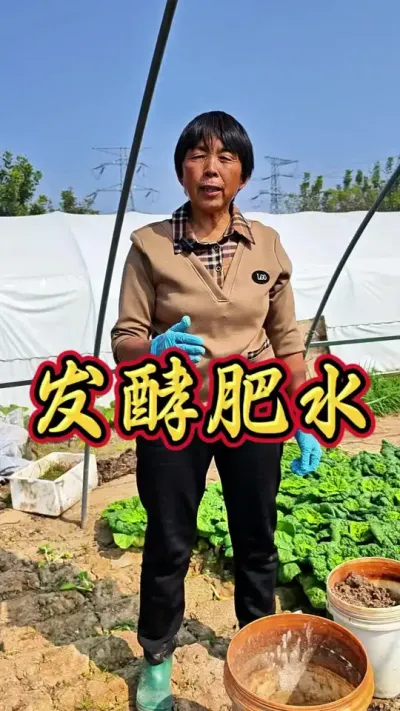 黑帆发酵肥水，21号晚上直播间不见不散#肥水 #三农 #蔬菜种植 #蔬菜杨大姐 #肥水发酵 @抖音创作小助手 @DOU+小助手 @DOU+上热门
