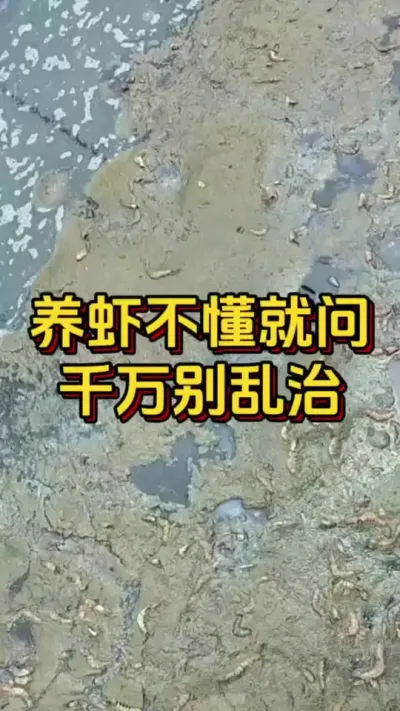 养虾不懂就问千万别乱治#嘉骏新水产#南美白对虾 #鱼虾蟹养殖技术#嘉骏集团#水产人