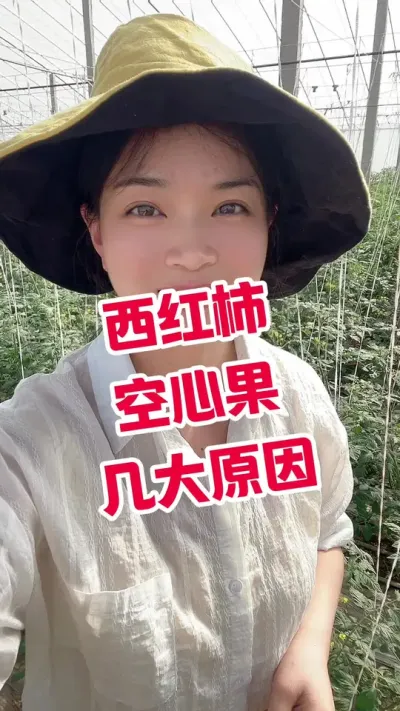 #西红柿种植#记录我的种植生活  点个关注 互相学习吧@抖音小助手