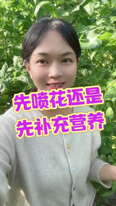 #记录我的种植生活 #西红柿种植 #大棚西红柿 点个关注 互相学习吧@抖音小助手