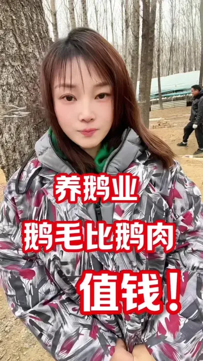 鹅毛的价值高于鹅肉#农村创业养殖 #养鹅人 #养鹅