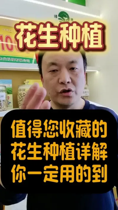 纯干货分享春季花生怎么种才能高产丰收。#花生种植 #花生高产