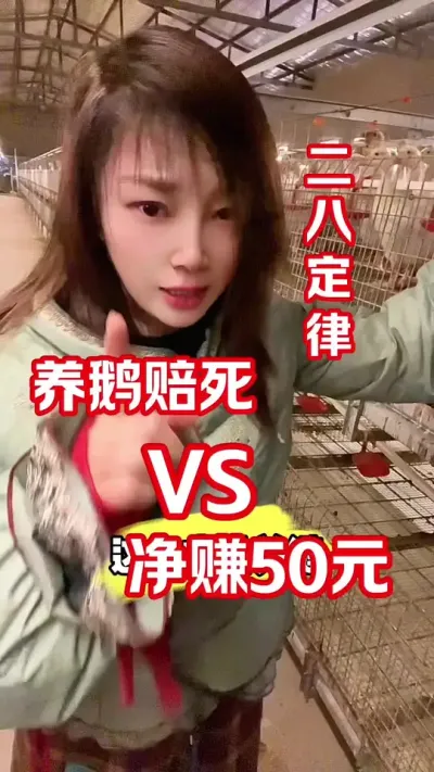 养鹅，有的人赔死，有的人直接赚50元&hellip;&hellip;#农村创业养殖 #养鹅人 #每天分享养殖技术和经验