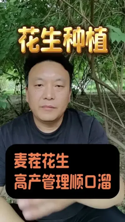 麦茬花生高产管理顺口溜。#花生种植管理技术