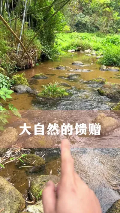 石头上养花的好东西#花卉绿植 #养花小知识 #爱生活爱养花
