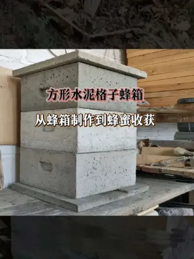 方形水泥格子蜂箱 从蜂箱制作到蜂蜜收获#养蜜蜂 #我的乡村生活 #新农人计划2025