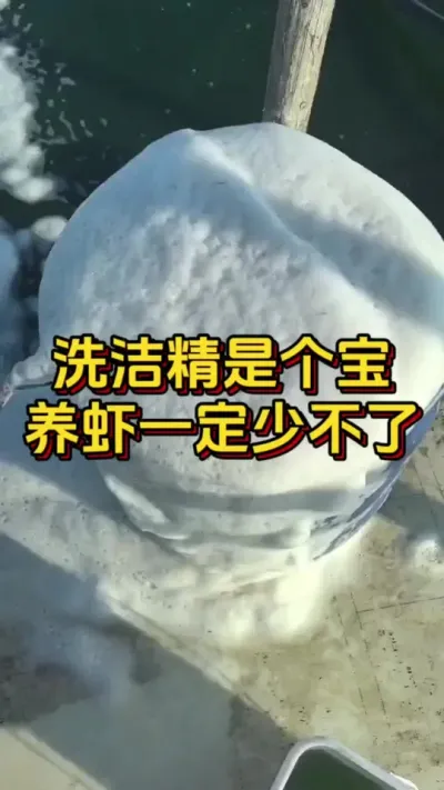 洗洁精是个宝养虾一定少不了#小棚养虾 #养虾人 #南美白对虾 #水产人 #嘉骏新水产