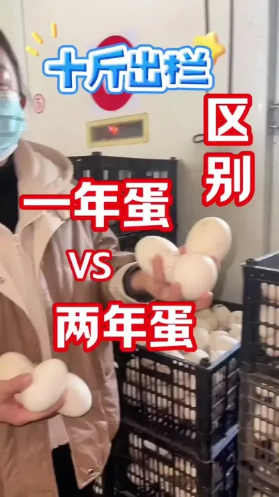 浦三鹅一年的种蛋和两年的种蛋，也是有区别的😇#农村创业养殖 #鹅鹅鹅 #养鹅