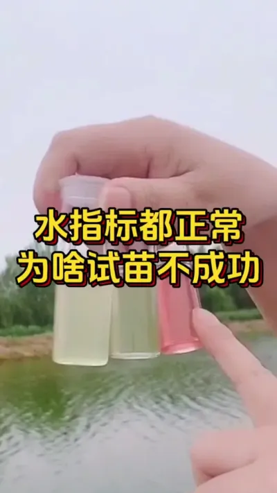 水体指标正常，为啥试苗不成功#水产人 #养虾人 #水产养殖 #嘉骏新水产 #嘉骏集团