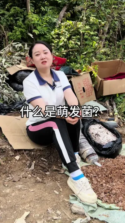 什么是萌发菌 #三农种植 #三农种植 #种植技术 #天麻种子#三农