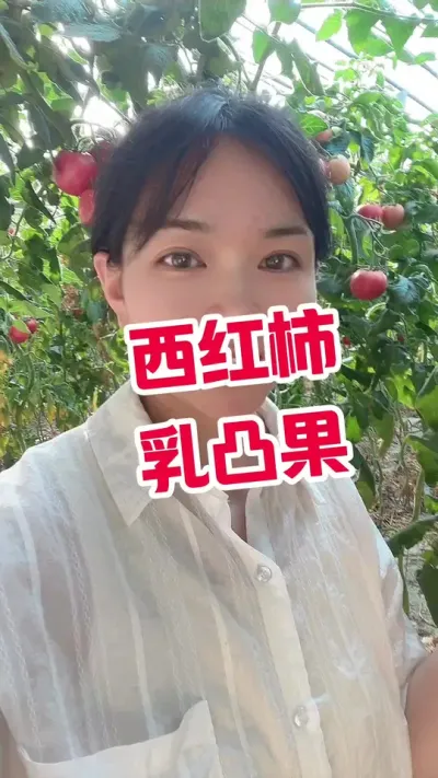 #记录我的种植生活 #大棚种植  点个关注互相学习吧@抖音小助手