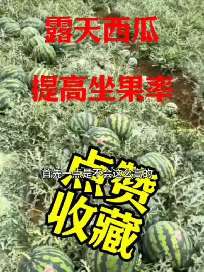 #抖音助农 #抖音助农扶农 #种植小技巧