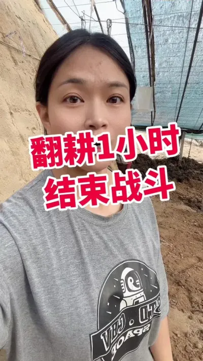 #西红柿种植 #闷棚#刨地#大棚西红柿 点个关注 互相学习吧@抖音小助手