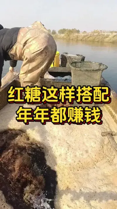 红糖这样搭配，年年都能赚到钱#养虾人 #水产养殖 #水产人 #嘉骏新水产 #嘉骏集团