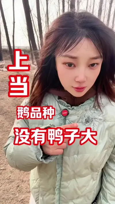这个鹅品种最容易上当😎#每天分享养殖技术和经验 #农村创业养殖 #养鹅人 #抖音助农