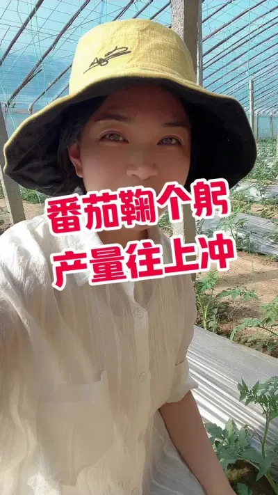 #记录我的种植生活 #西红柿种植  点个关注 互相学习吧@抖音小助手