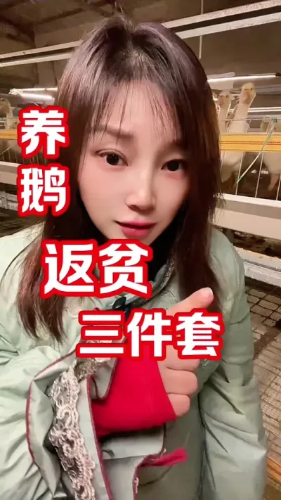 关于&ldquo;养鹅返贫&rdquo;，中招了吗？#农村创业养殖 #养鹅人 #三农