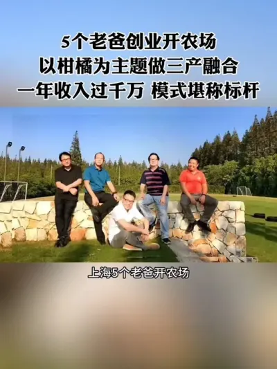 5个老爸开农场，以柑橘为主题做三产融合，一年收入过千万，模式堪称标杆！#新农人 #休闲农业 #农场 #亲子农庄 #生态农庄