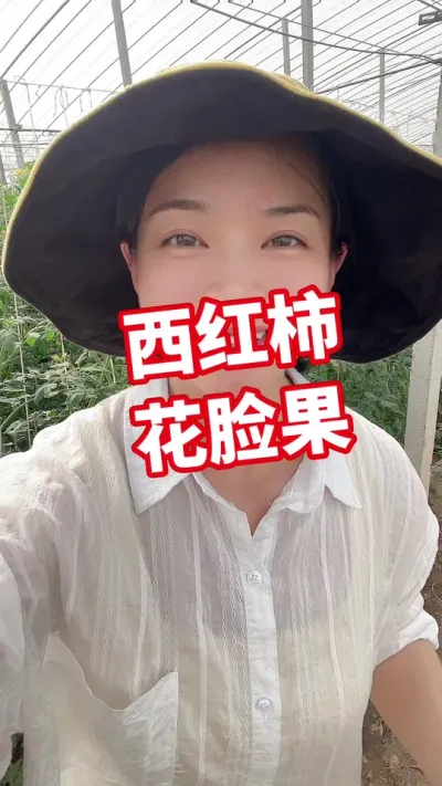 #西红柿种植 #记录我的种植生活 点个关注 互相学习吧@抖音小助手