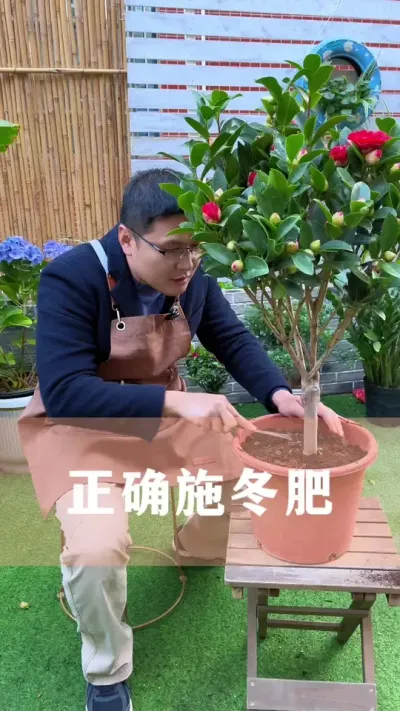 冬天养花，很多人都少做了这一步#花卉绿植 #养花小知识 #爱生活爱养花