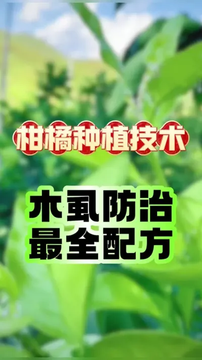 #上热门 柑橘防治木虱最全配方 #农业种植 #病虫防治 #柑橘种植 #木虱