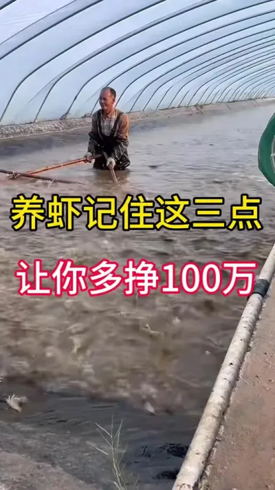 #嘉骏集团#嘉骏新水产#李新聊对虾#南美白对虾养殖 #水产养殖技术 养虾记住这三点，让你多挣100万