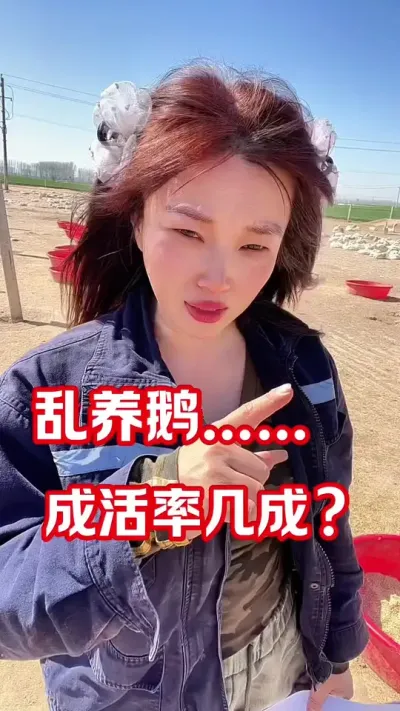 #养鹅人 #农村创业养殖 #养鹅技术分享