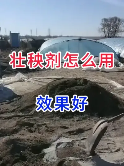 壮秧剂怎么用，效果好？ #土传病害  #分享农业知识帮农民增产增收  #农业种植技术  #水稻壮秧剂
