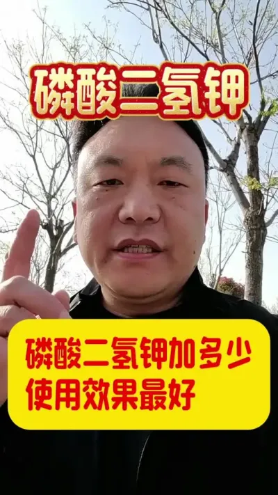 磷酸二氢钾一桶水加多少使用效果最好？#磷酸二氢钾 #磷酸二氢钾的作用与用途