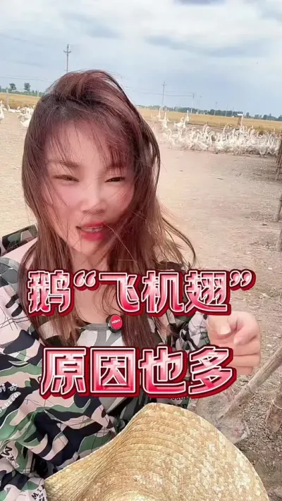 鹅的&ldquo;飞机翅&rdquo;，到底是怎么回事#养鹅人 #养鹅技术分享 #养鹅#鹅翻翅
