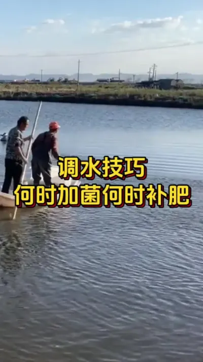 调水技巧，何时加菌何时补肥，你知道吗？#养虾人 #水产人 #对虾养殖 #嘉骏新水产 #嘉骏集团