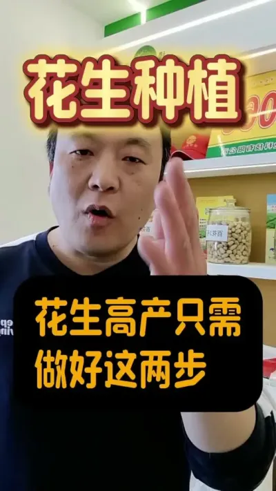 花生高产只需做好这两步。#花生种植 #花生高产 #增产增收小配方