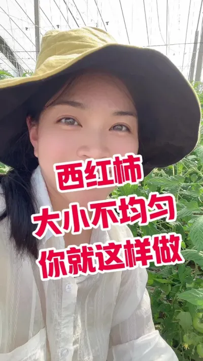 #西红柿种植#记录我的种植生活 #番茄种植 小黄车下单@抖音小助手