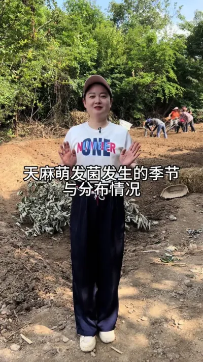 天麻萌发菌发生的季节和分布的区域 #新农人计划 #三农话题 #新农人 @DOU+小助手