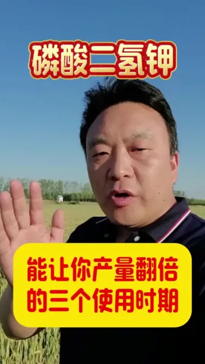 磷酸二氢钾的三个主要使用时期。#磷酸二氢钾使用小妙招