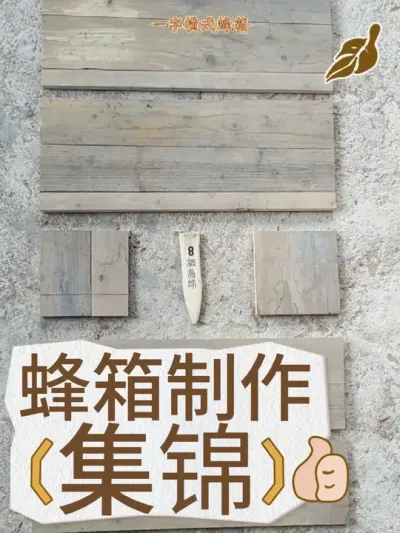 蜂箱制作 学习养蜂几年，记录这些年所做过的蜂箱#蜂箱制作 #新农人计划2024
