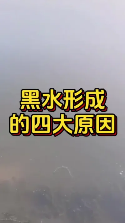 黑水形成的四大原因#小棚养虾 #养虾人 #水产人 #南美白对虾 #嘉骏新水产