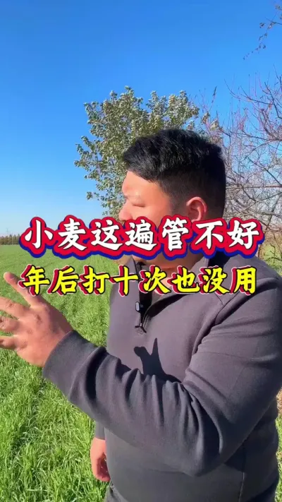 小麦这遍管理不好，年后再打十次也没用！ #种植小技巧 #小麦种植 #种植小技巧 #羟芸烯效咗