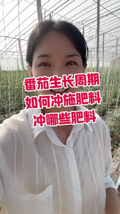 #记录我的种植生活 #大棚种植 #西红柿种植  点个关注 互相学习吧@抖音小助手