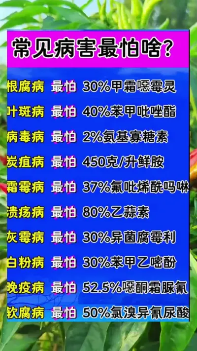 #传播正能量 #上热搜 #我要上热们 #三农